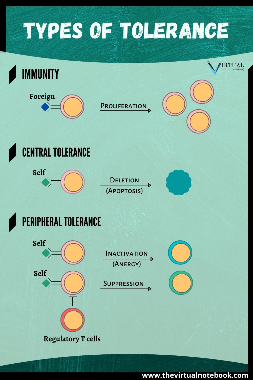 tolerance types